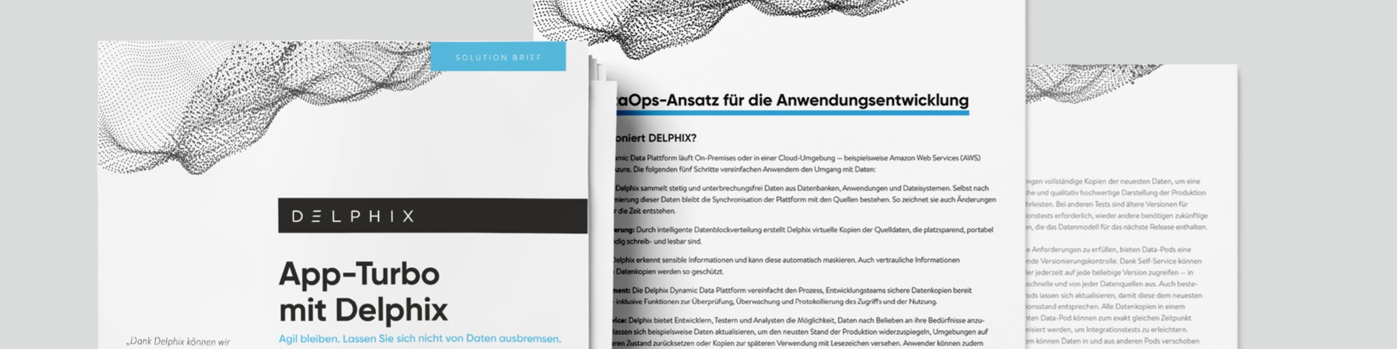 Delphix: Auftrag über Akima Media, Mehrere Whitepaper – 4-seitig
