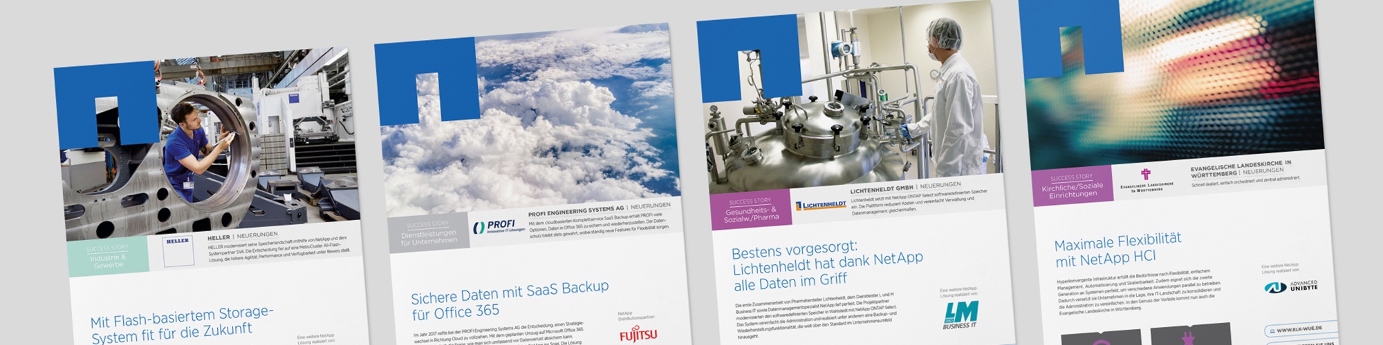 NetApp: Case Studies – Satz, Infografiken, interaktive PDFs